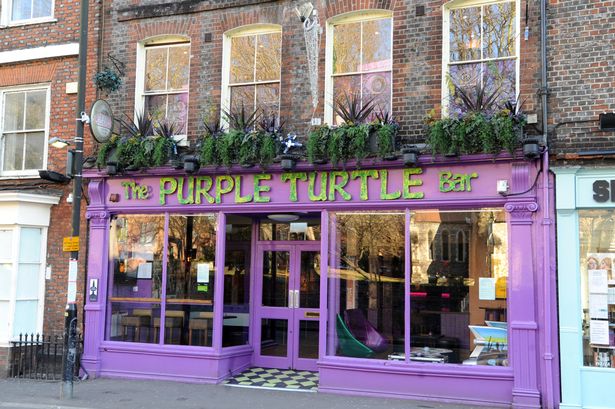 Purple Turtle 40th   50th Birthday Parties